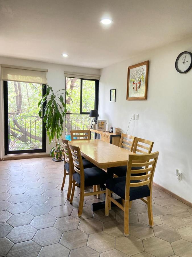 Apartment With Terrace Down Town مدينة مكسيكو المظهر الخارجي الصورة